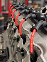E30 M20 Plug Wire Set (D585)